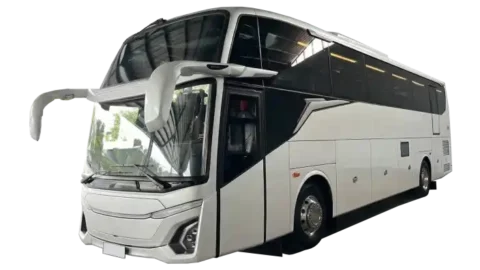 Car rental and travel agency provides Big bus