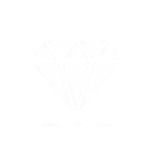 comfort and luxury fleets