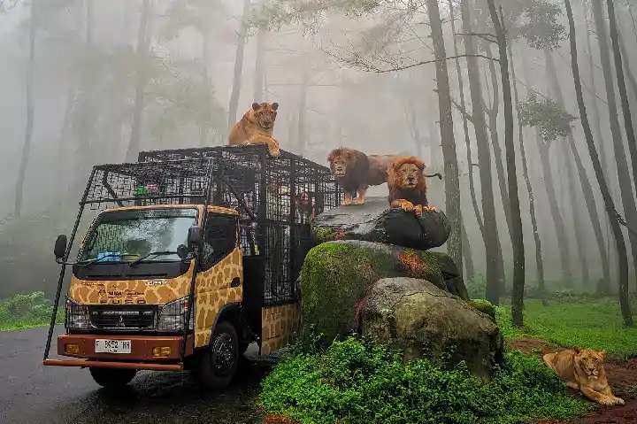 Paket pariwisata Bogor